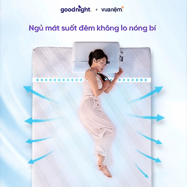 Công nghệ Active Recharge - Sự kết hợp hoàn hảo nâng đỡ trọn vẹn
